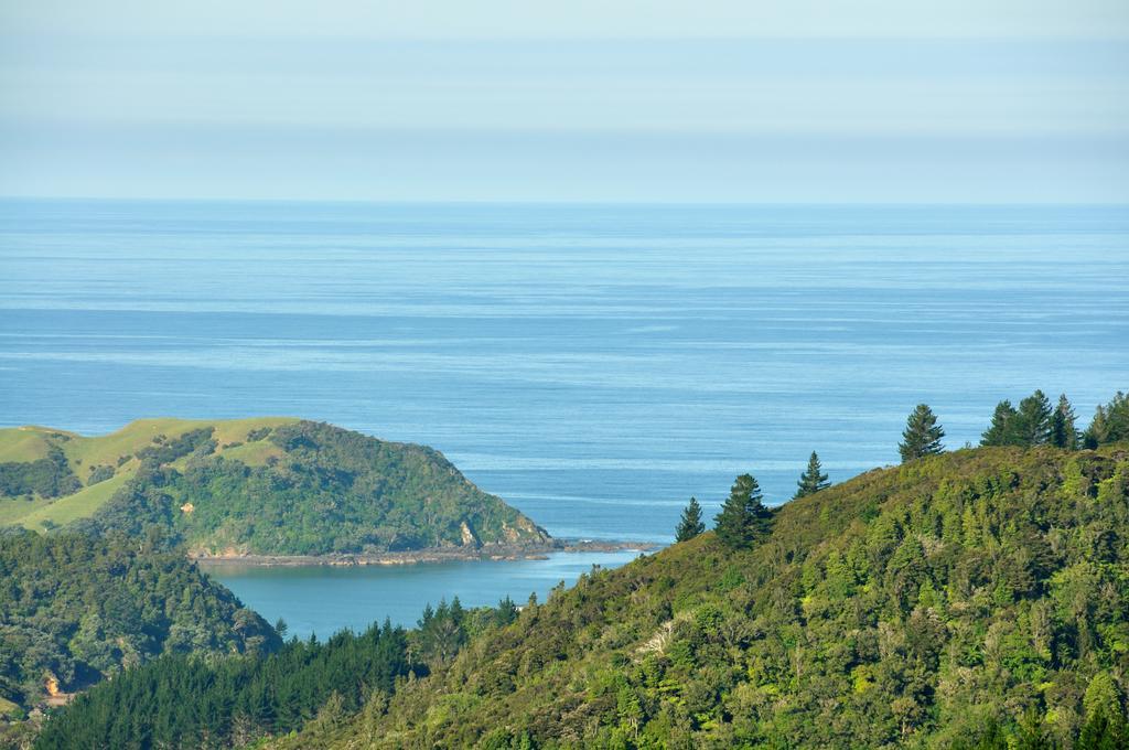 Hopewell B&B Helena Bay Bagian luar foto
