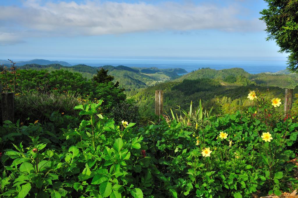 Hopewell B&B Helena Bay Bagian luar foto