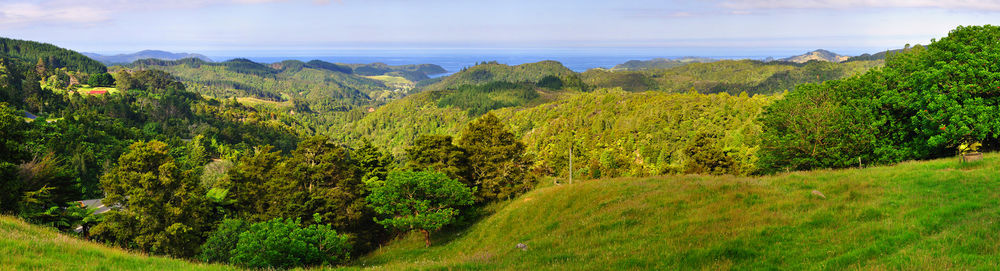 Hopewell B&B Helena Bay Bagian luar foto
