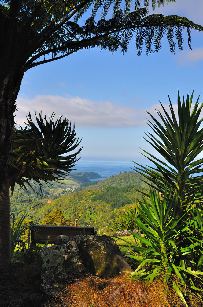 Hopewell B&B Helena Bay Bagian luar foto